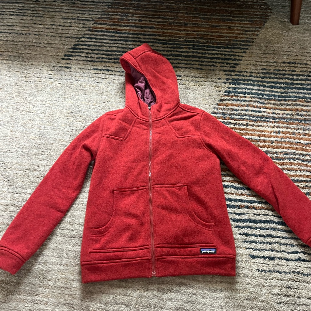 Patagonia Red Hooded Puffer Jacket